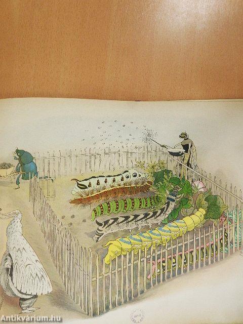 Sommervögel (gótbetűs)