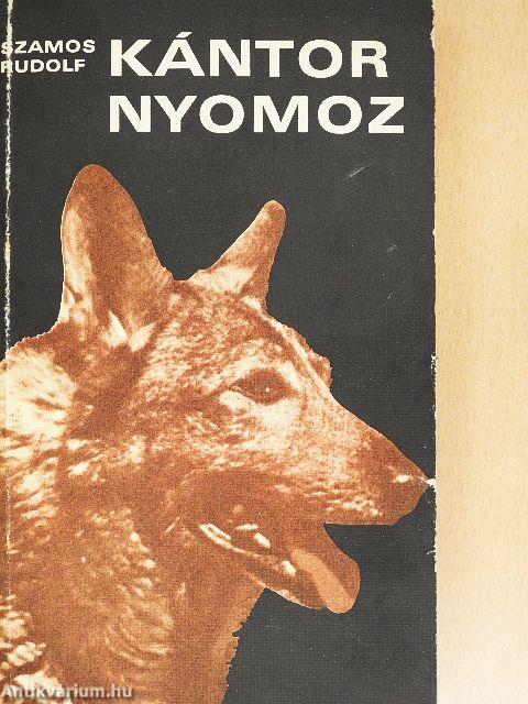 Kántor nyomoz