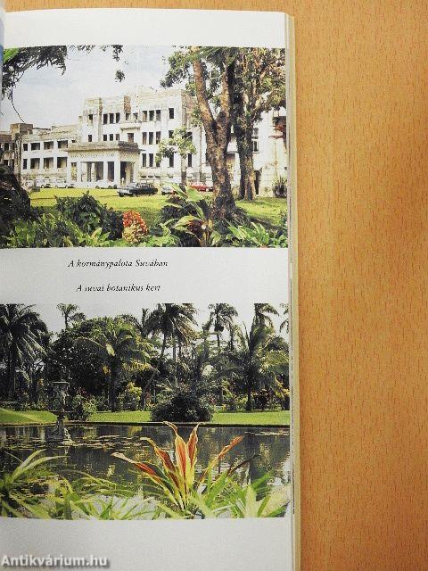 A kenyérfák árnyékában