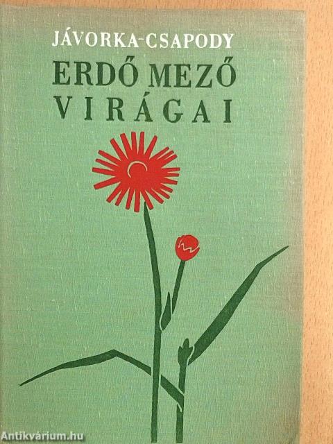 Erdő mező virágai 