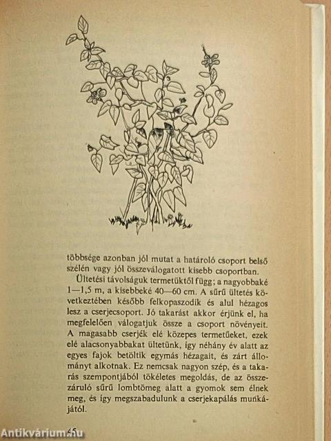 Kertfenntartás kényelmesen