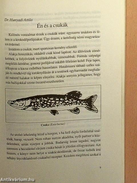 Csukahorgászat
