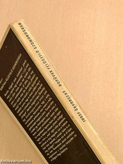 Borúvka felügyelő szomorúsága