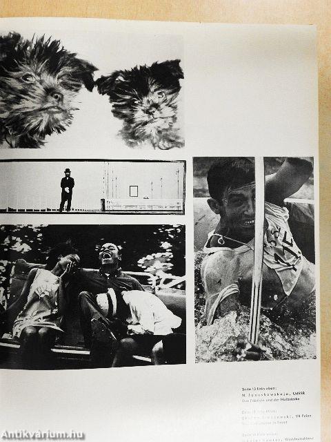 Fotografie Januar-Dezember 1971