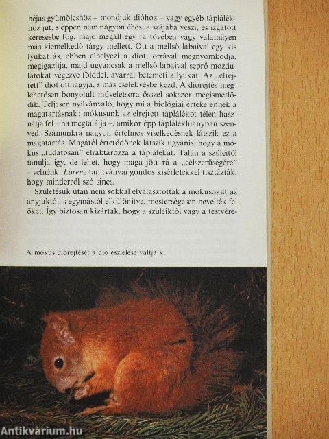 Kis etológia