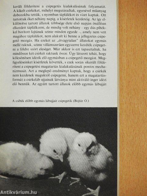 Kis etológia