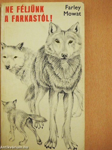 Ne féljünk a farkastól!