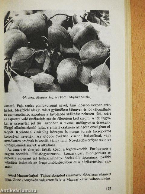Nyári gyümölcsök termesztése