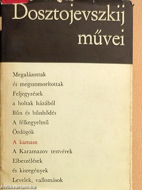 A kamasz