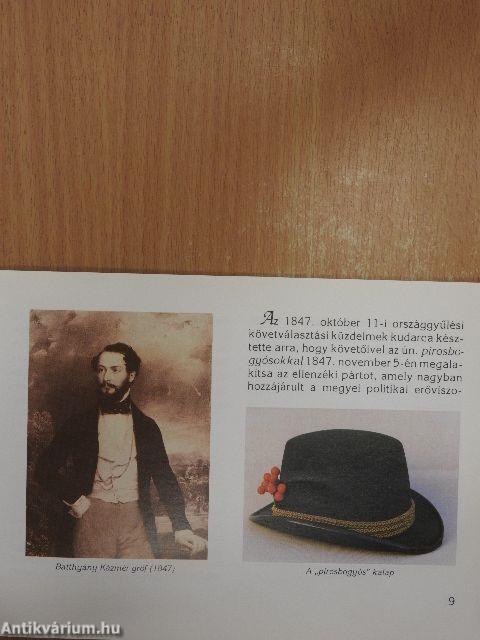 Pécs-Baranya 1848-1849