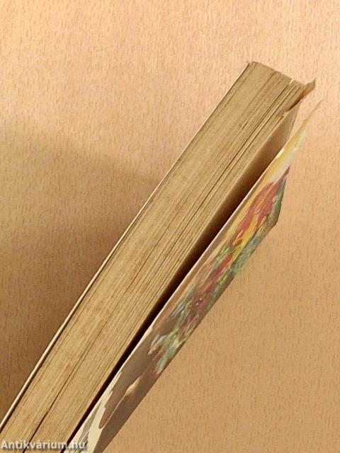 Surayana élő szobrai