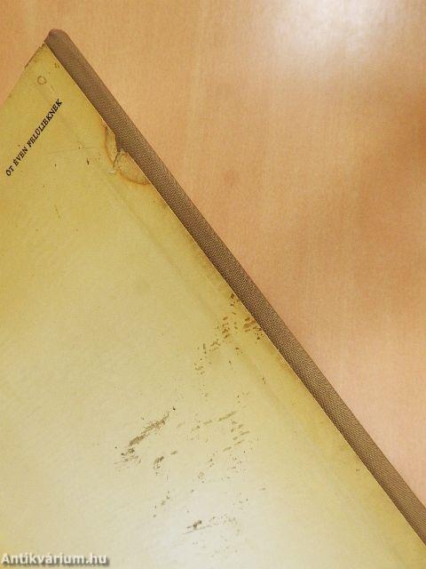 Zöldbajusz Marci királysága