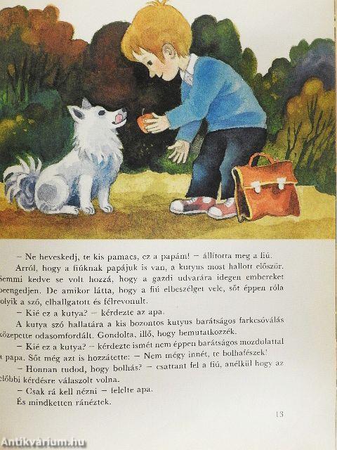 Légy a gazdim, kisfiú!