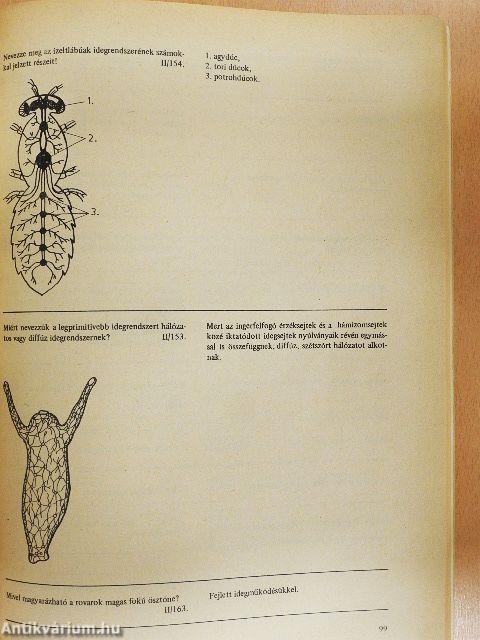 Biológiai korrepetitor II. (töredék)