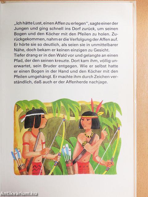 Wie der Kondor König ward