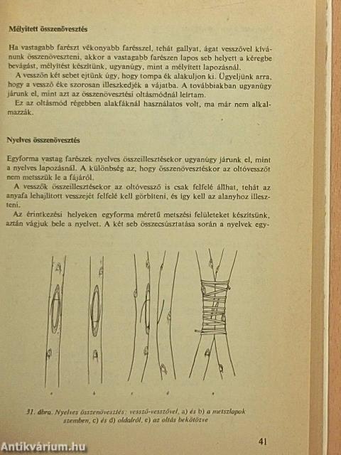 Oltás, szemzés, dugványozás