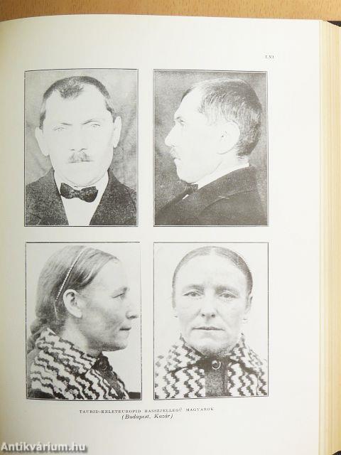 Magyar föld, magyar faj I-IV.
