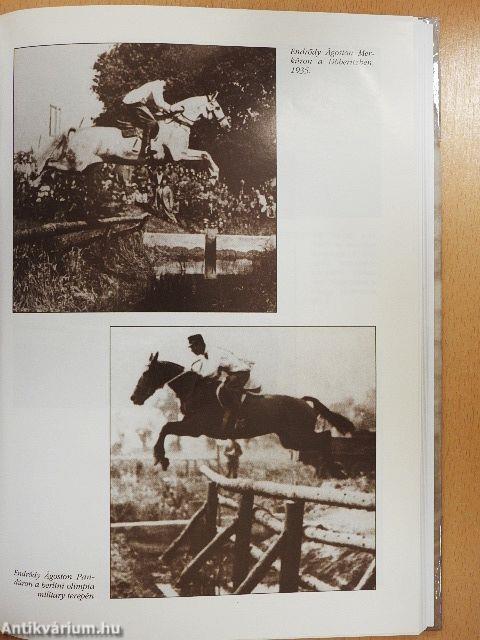 Gondolatok a lovaglásról