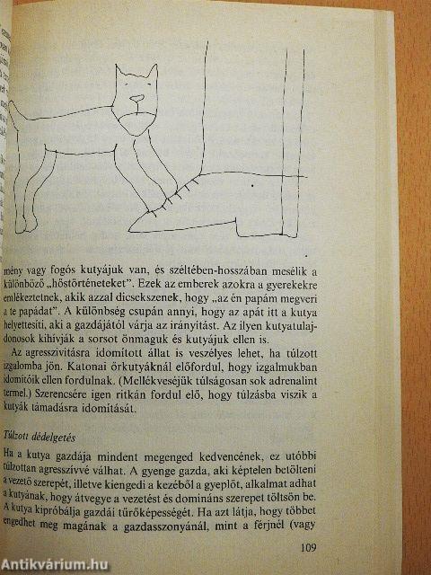 Lelkibeteg kutya