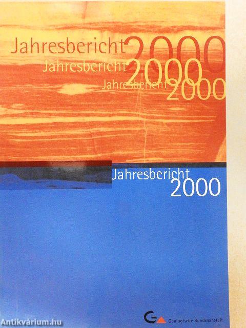 Jahresbericht 2000