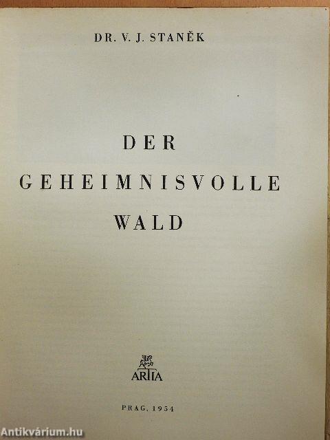 Der Geheimnisvolle Wald