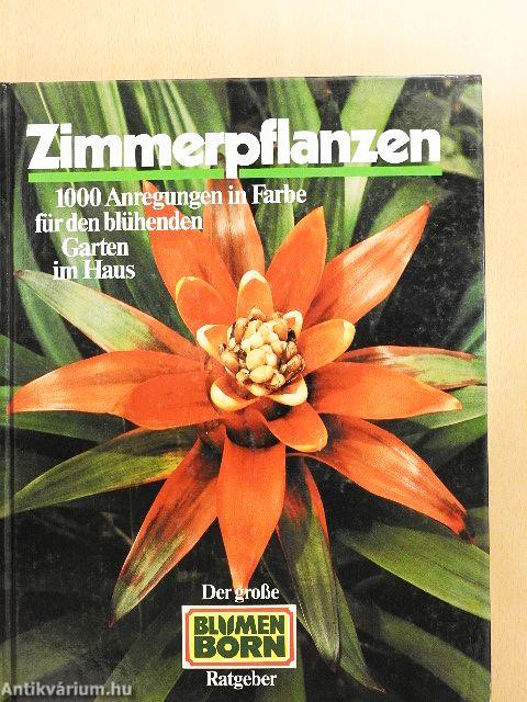 Zimmerpflanzen