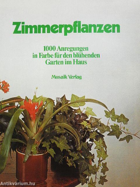 Zimmerpflanzen