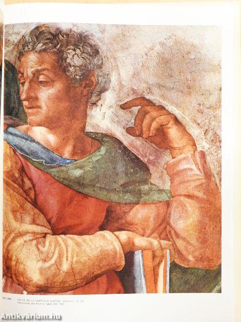 L'opera completa di Michelangelo pittore