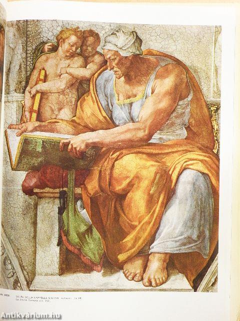 L'opera completa di Michelangelo pittore