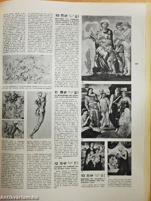 L'opera completa di Michelangelo pittore