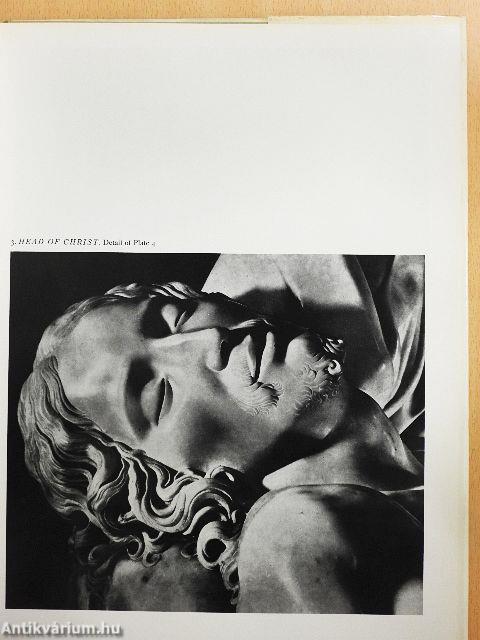 Michelangelo
