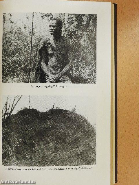 Afrikai vadászkönyv