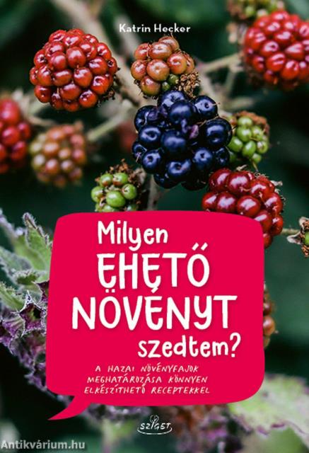 Milyen ehető növényt szedtem?