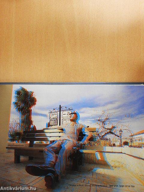 Israel in Three Dimensions