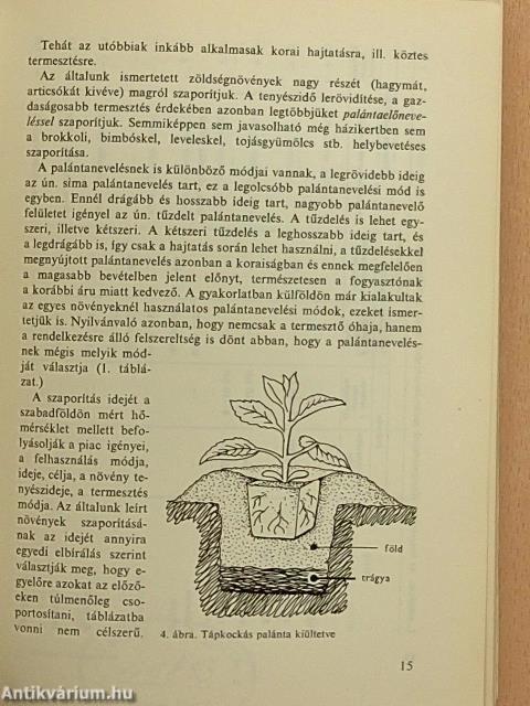 Zöldségkülönlegességek