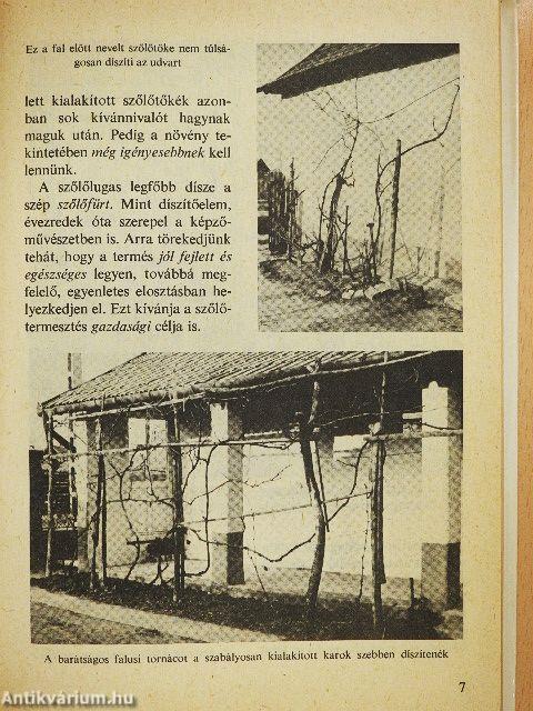 Szőlőlugas