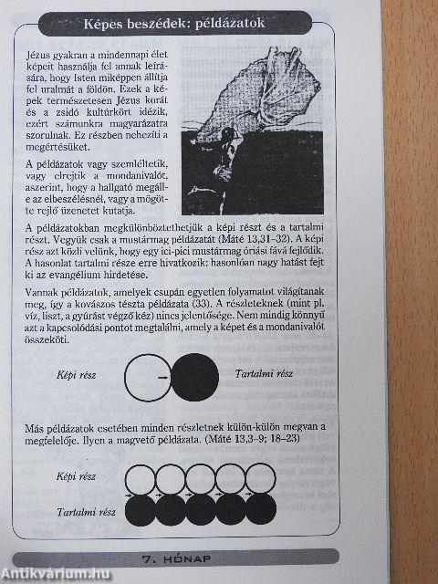 Napról napra 3.