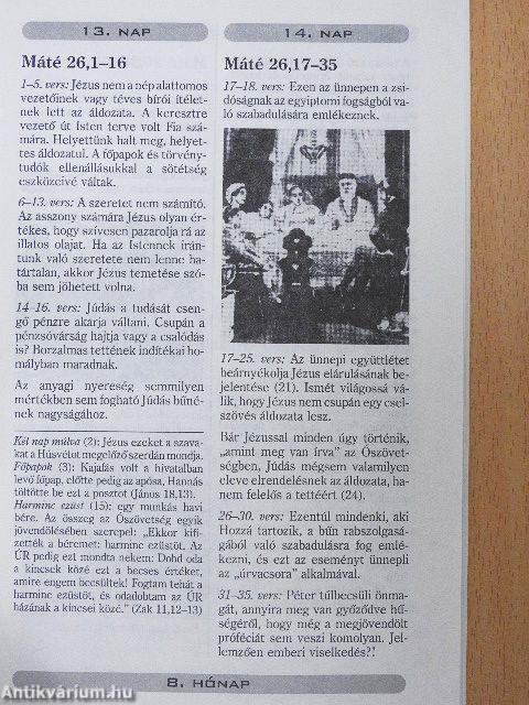 Napról napra 3.