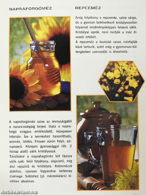 A magyar méz