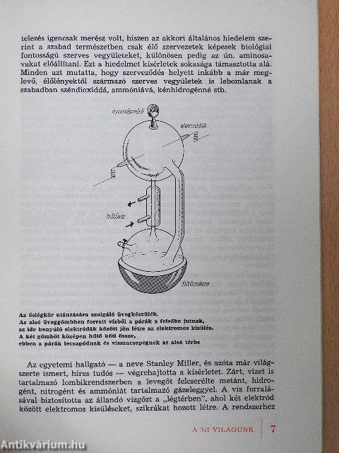 Élet a Földön