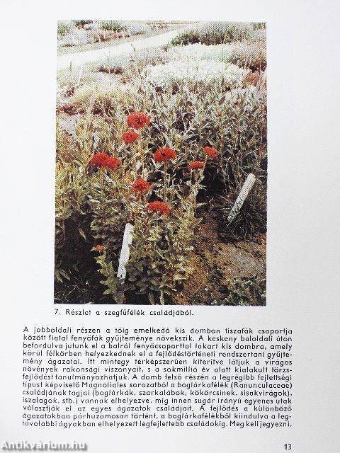 A vácrátóti botanikuskert