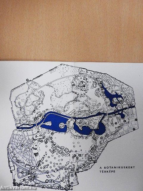 A vácrátóti botanikuskert