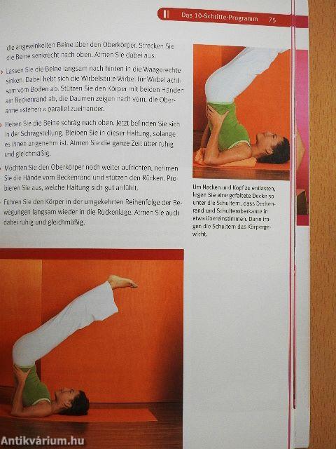 Yoga für Einsteiger