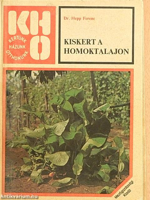 Kiskert a homoktalajon