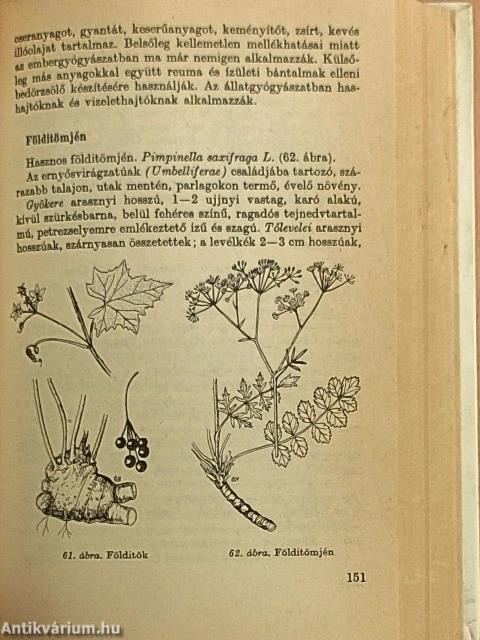 Gyógyító növények