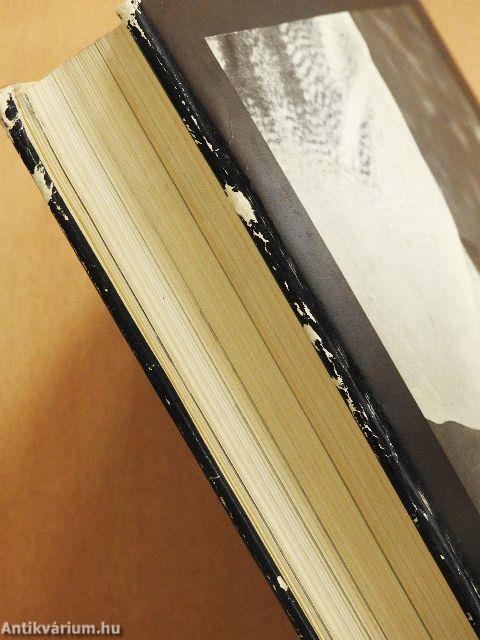 Vlagyimir Iljics Lenin