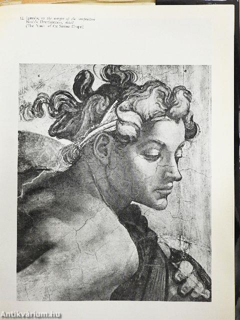 Michelangelo - The Painter