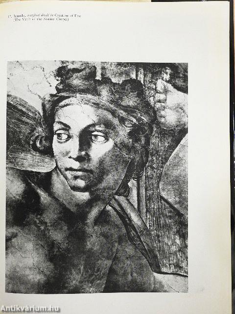 Michelangelo - The Painter