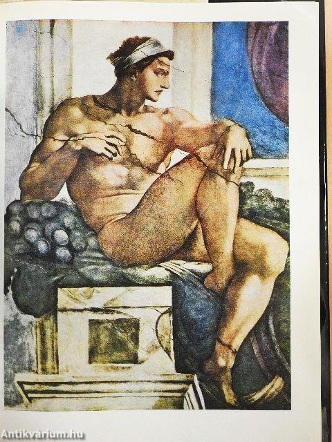 Michelangelo - The Painter