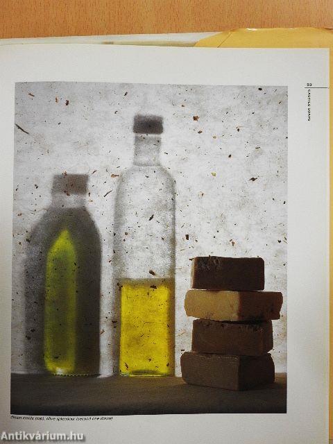 The Handmade Soap Book